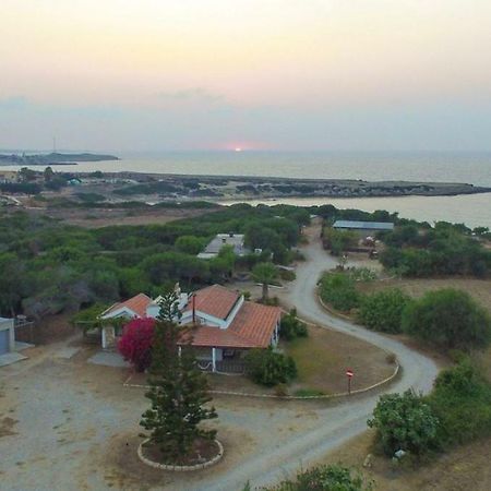 Balci Plaza Hotel And Balci Plaza Guest Bungalows Karpaz Peninsula Selenias 外观 照片