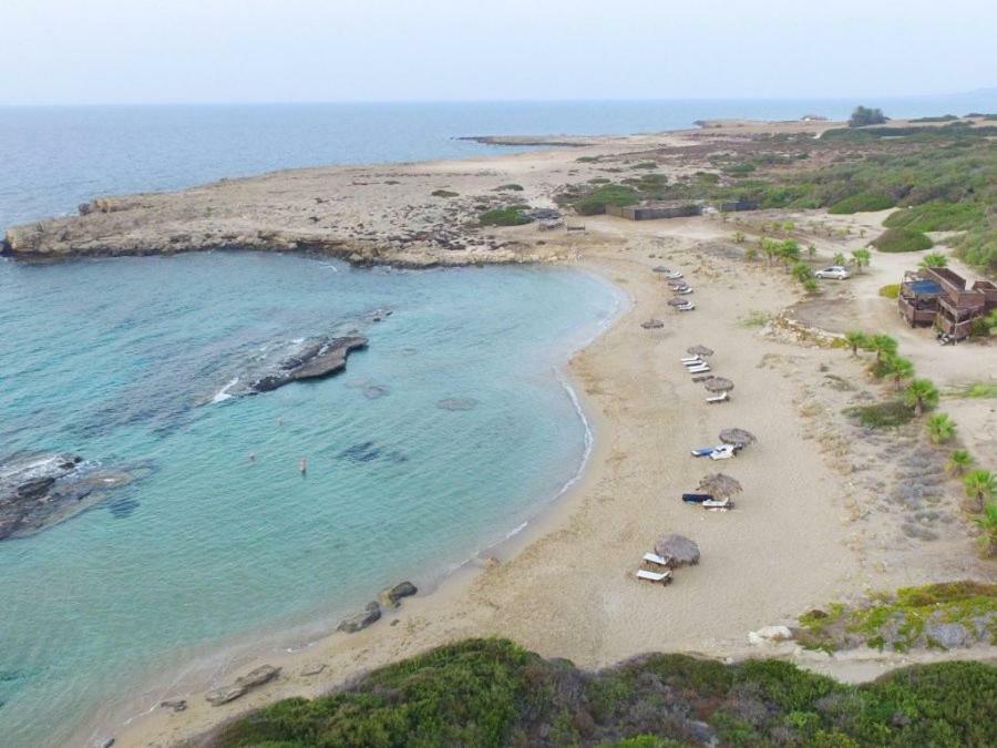 Balci Plaza Hotel And Balci Plaza Guest Bungalows Karpaz Peninsula Selenias 外观 照片